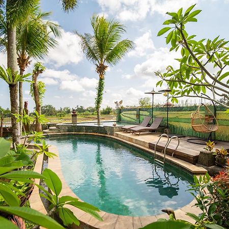 Kubu Sari Ubud Dış mekan fotoğraf