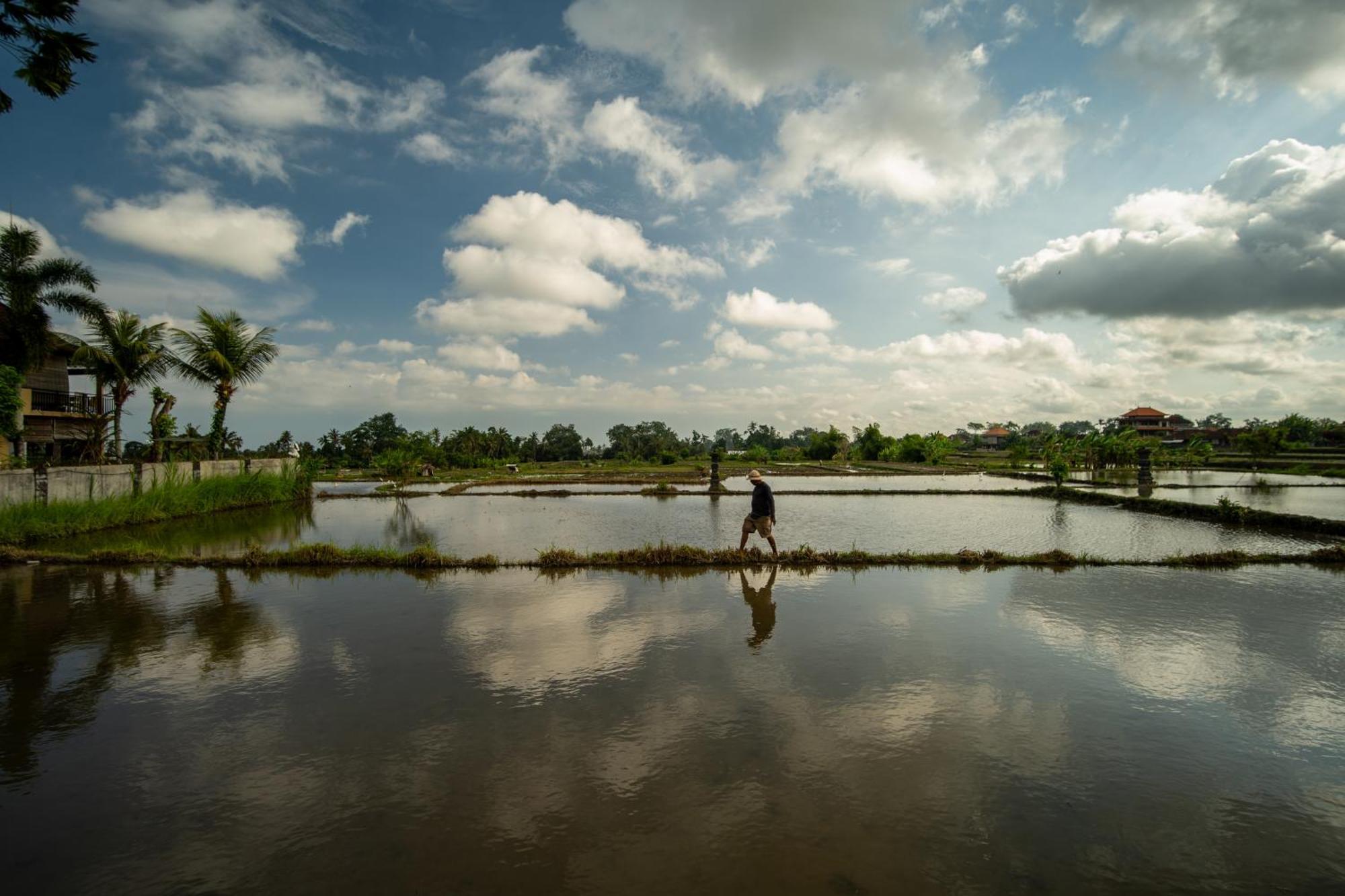 Kubu Sari Ubud Dış mekan fotoğraf